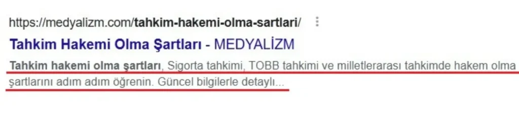 Meta Açıklaması Nedir