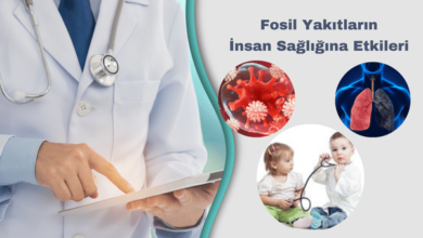 Fosil Yakıtların İnsan Sağlığına Etkileri