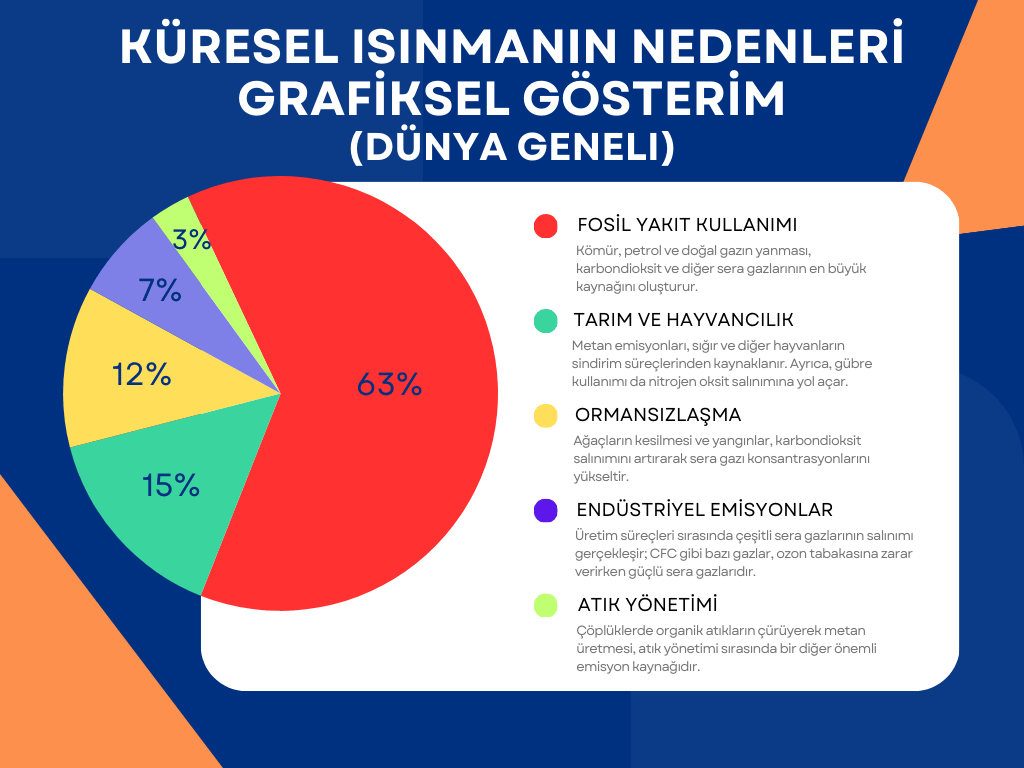 Küresel Isınmanın Nedenleri Grafiksel Gösterim (Dünya Geneli)