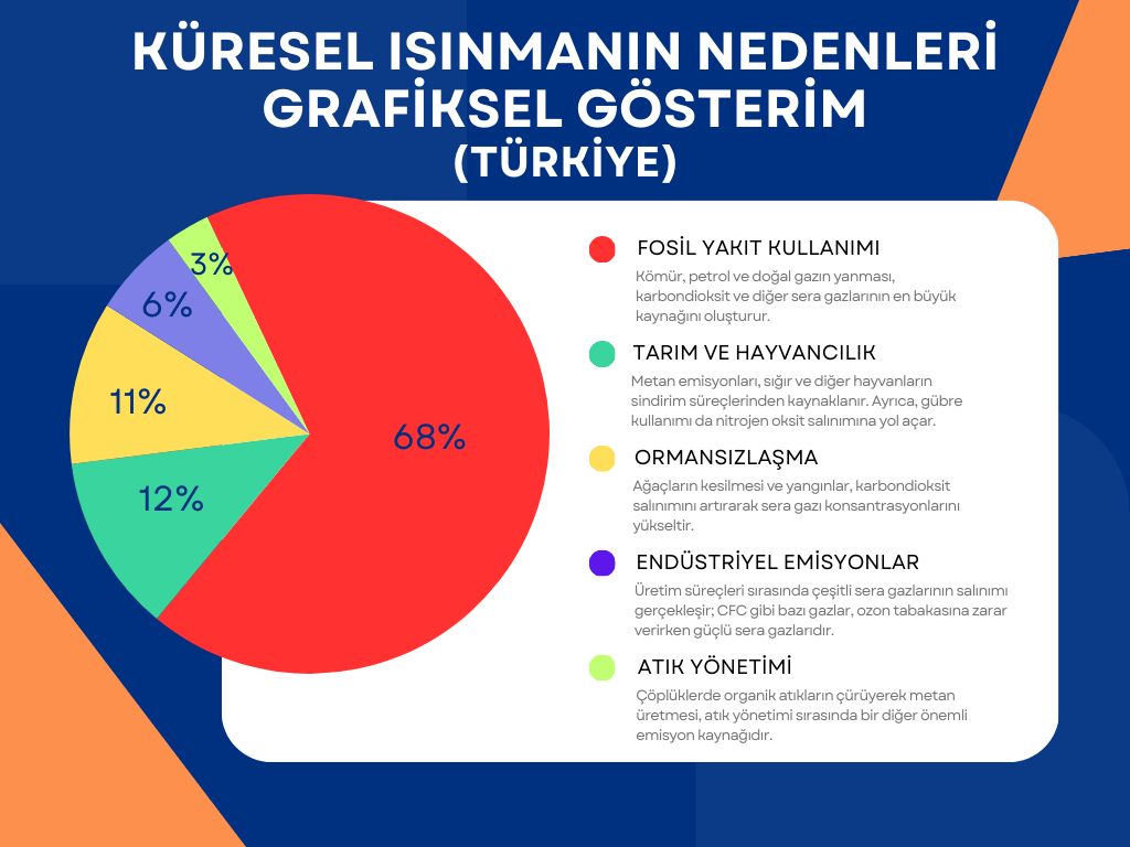 Küresel Isınmanın Nedenleri Grafiksel Gösterim (Türkiye)