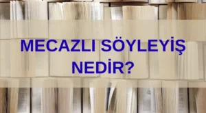 Örneklerle Mecazlı Söyleyiş Nedir? Örneklerle Mecazlı Söyleyiş Nedir?