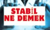 Stabil Ne Demek Hangi Anlamlarda Kullanılır? Stabil Ne Demek Hangi Anlamlarda Kullanılır?
