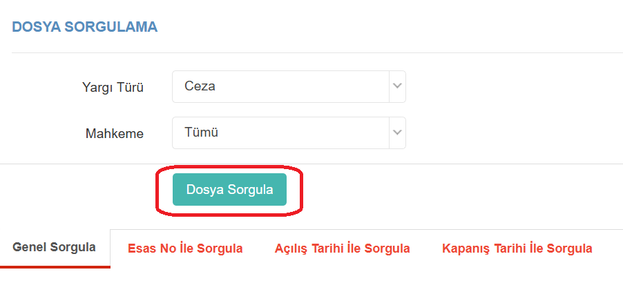 Duruşmaya Başka Şehirden Katılma Dilekçesi 2 E-Devletten Mahkemeye Dilekçe Gönderme