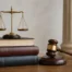 Turkish Citizenship Law Turkish Citizenship Law